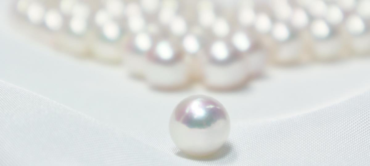 伊勢志摩の真珠をもっと身近に感じて欲しい